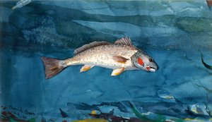 Kanal Bas by Winslow Homer